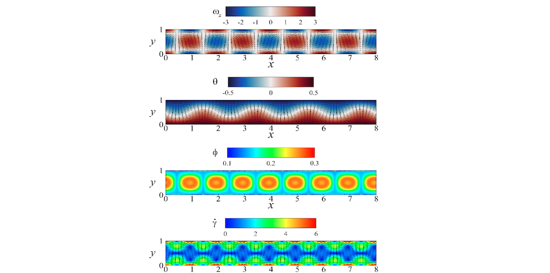 Rayleigh-Bénard Complex Flows